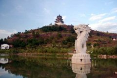 抚州市南城县自考报名地址在哪里